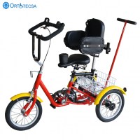 t.p.1667 triciclo-tricycle (1)